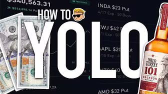 YOLO